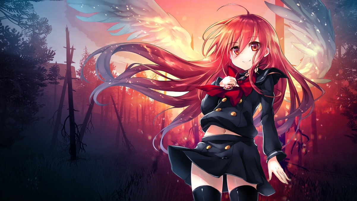 “未来之星”青少年青训创新联盟在上海正式成立，助推行业高质量发展