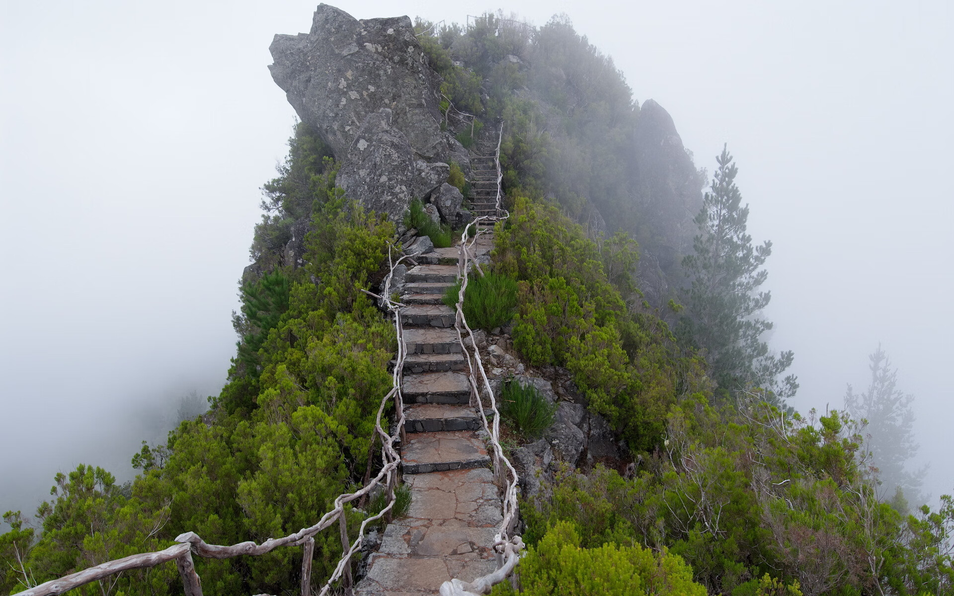 巅峰对阵：那些年你难忘的经典对决，巅峰对决最新排名