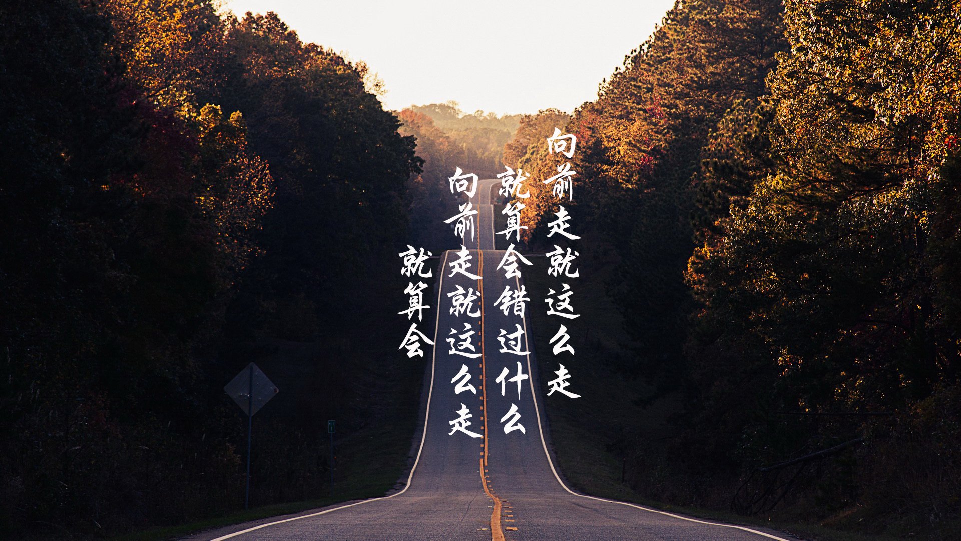 上海申花为夺冠展现出色表现，努力缩小差距，上海申花的比赛