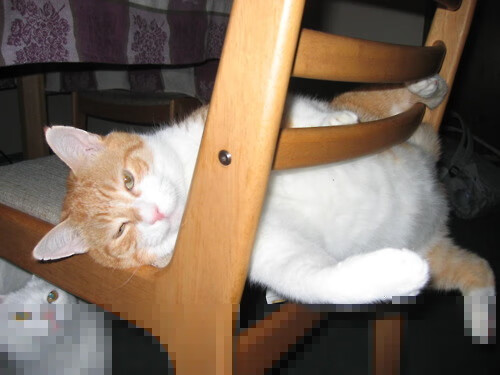 AYX体育官网-南安普顿：重返英超的挑战，南安普顿 英超