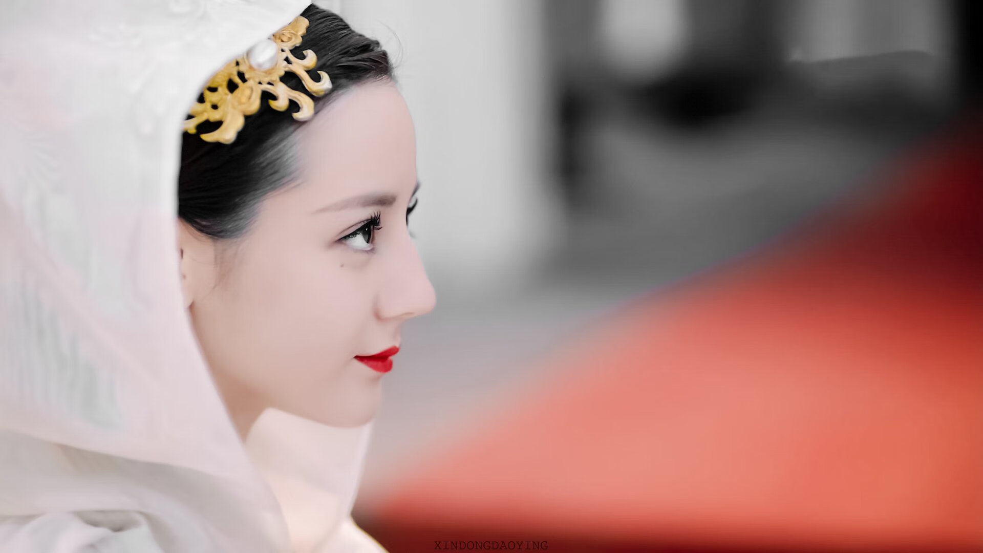 塞内加尔马术协会与国际组织合作，推广“Lamb”至全球。