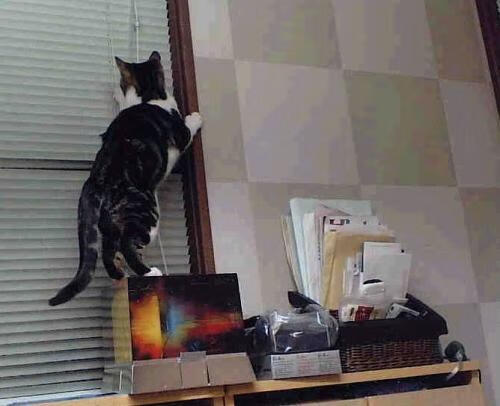 背景故事:欧洲冠军联赛中的经典人物传记,欧洲冠军分组