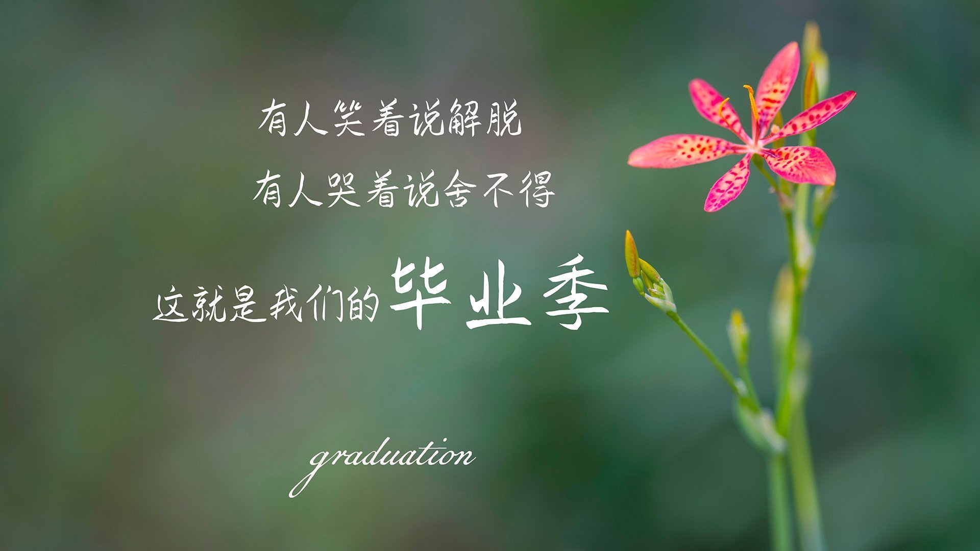 西甲裁判系统加入语言语调识别功能提升沟通判断力,西甲足球裁判