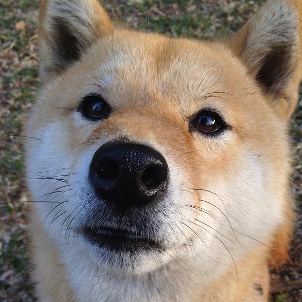 爱游戏中国官方登录入口网站-中国足球迎战世界杯预选赛 激烈对决引爆全场，中国足球队世界杯预选赛战况