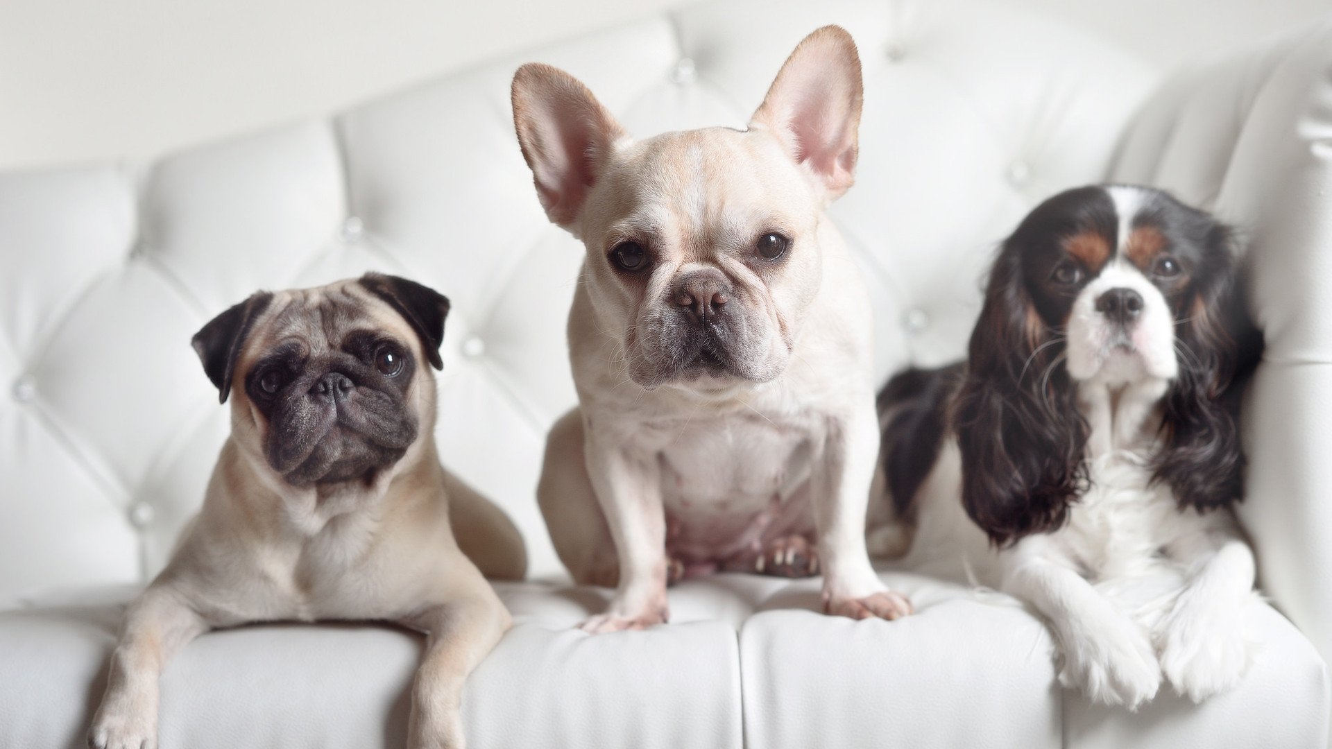 体育新闻中心主办体育传媒数据安全与隐私保护峰会,体育传播活动中新媒体使用情况调查报告