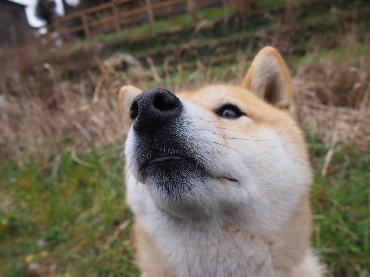 俱乐部战略规划执行力弱,俱乐部发展规划及思路