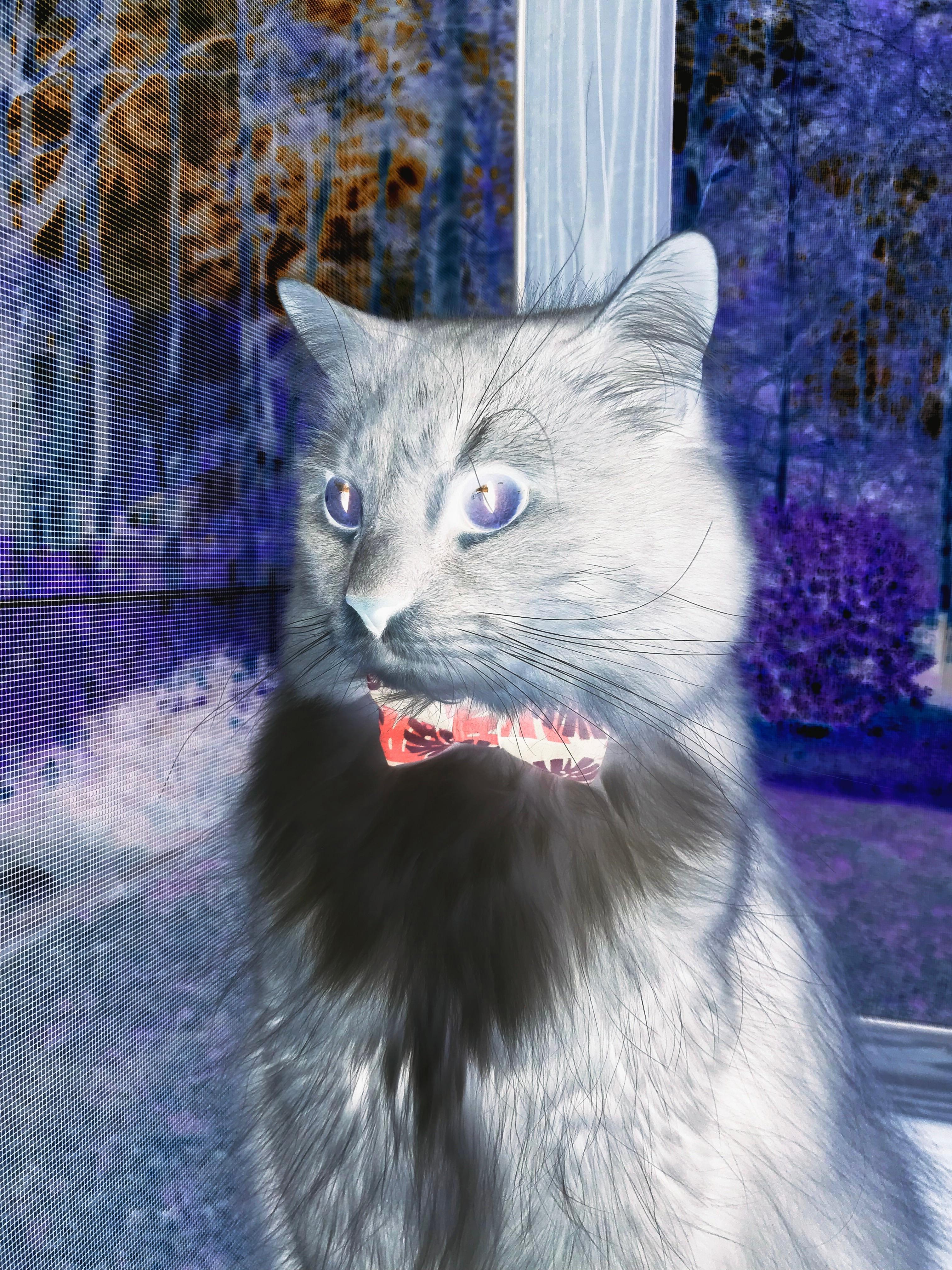 国家队防守体系漏洞频繁,防守反击国家队