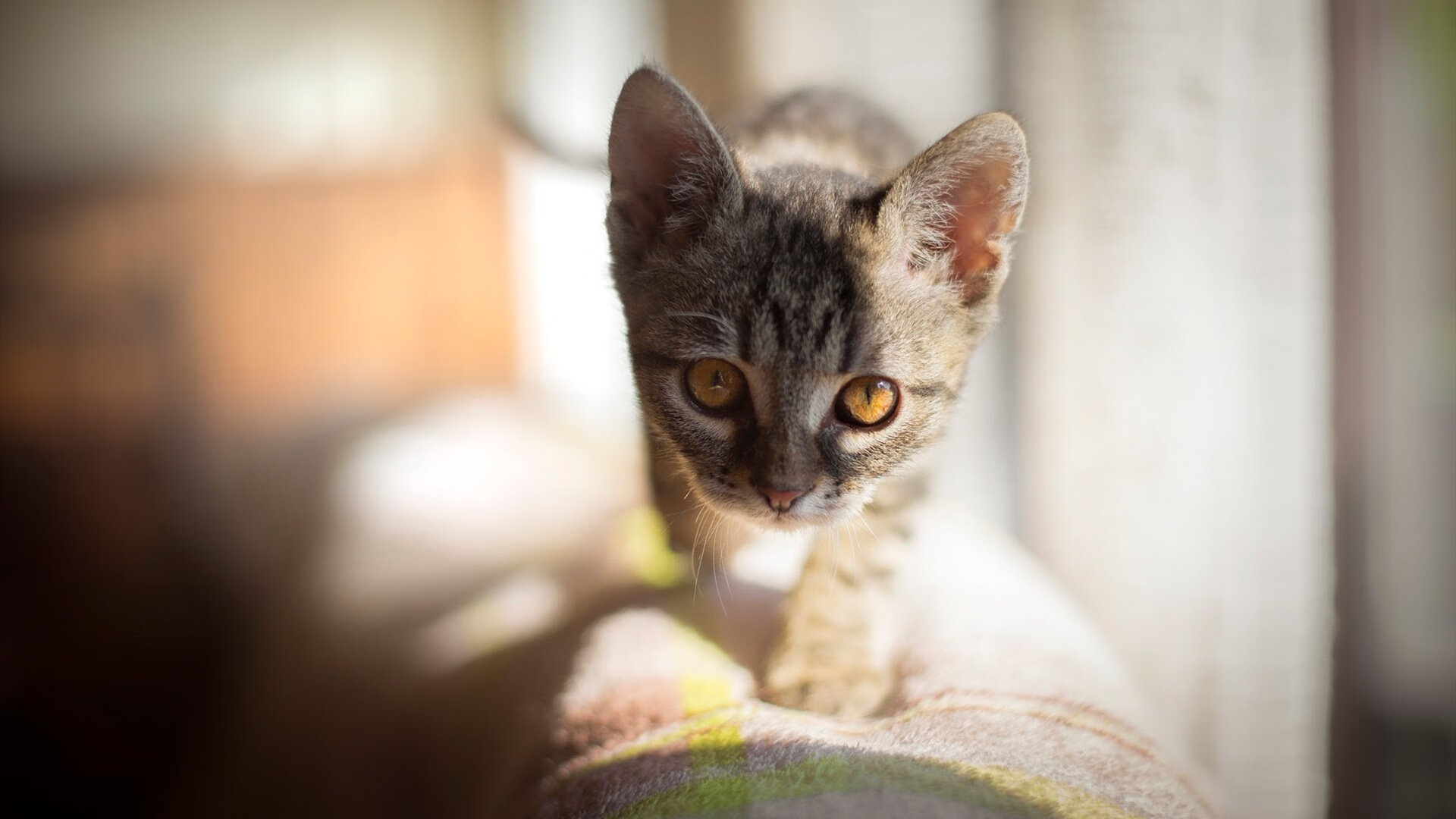 国际热身赛中国青年队晋级 球员表现抢眼,国家队热身赛有出场费吗