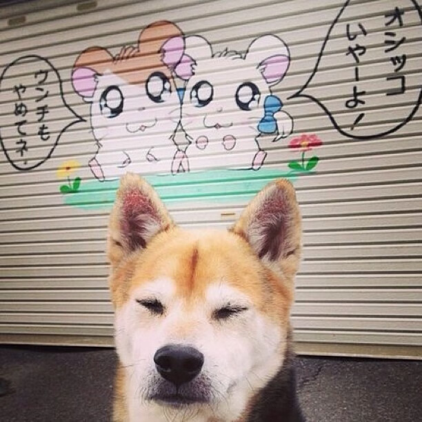 “帕布罗·马特拉：从球场到更高舞台，阿根廷美洲狮队的未来核心”