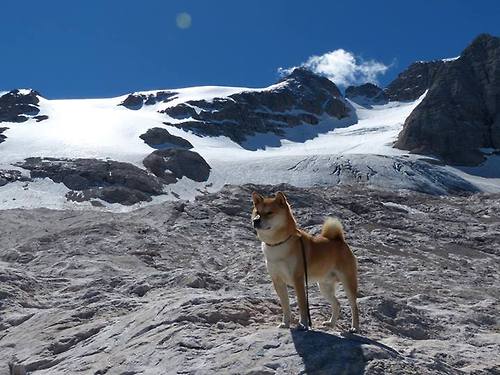 爱游戏电竞官网-乔治防守端贡献四次抢断展现全面能力，乔治防守什么水平
