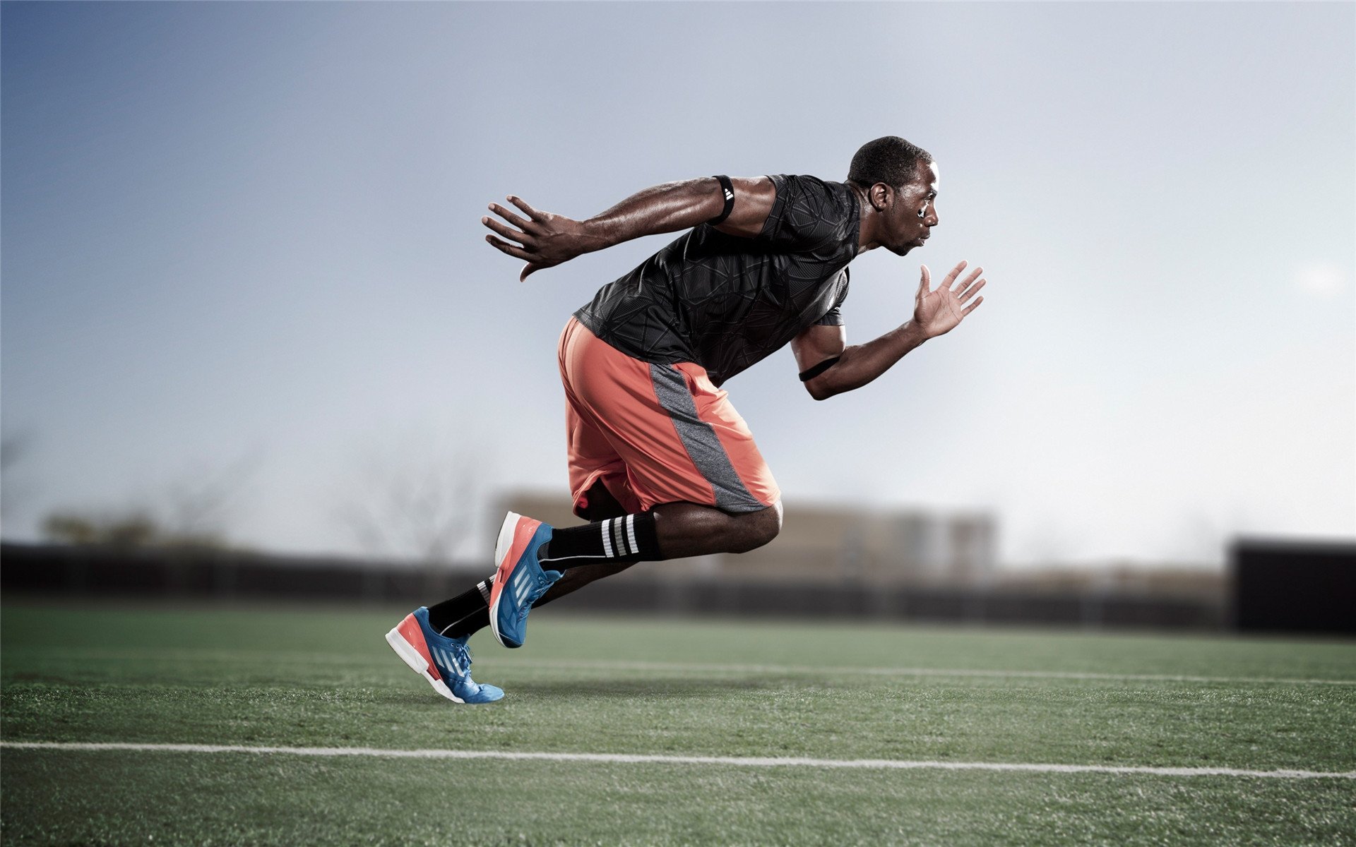 澳大利亚队的未来战略：目标是成为全球顶尖乒乓强队，澳大利亚 乒乓球 lay